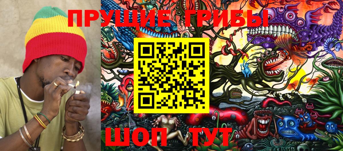 Галлюциногенные грибы Cubensis  Вход с VPN  Каменск-Шахтинский 