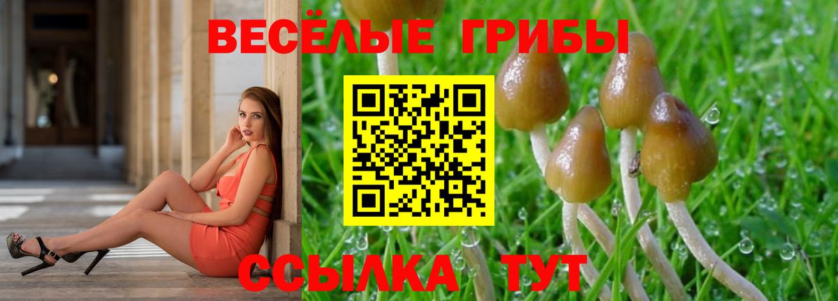 Меф МЯУ МЯУ кристаллы  Кокаин  Каннабис  A-PVP СК   Лсд 25  Каменск-Шахтинский  ГАШИШ  Вход с VPN 