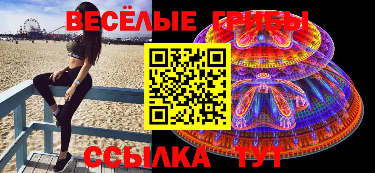 Псилоцибиновые грибы мухоморы Каменск-Шахтинский