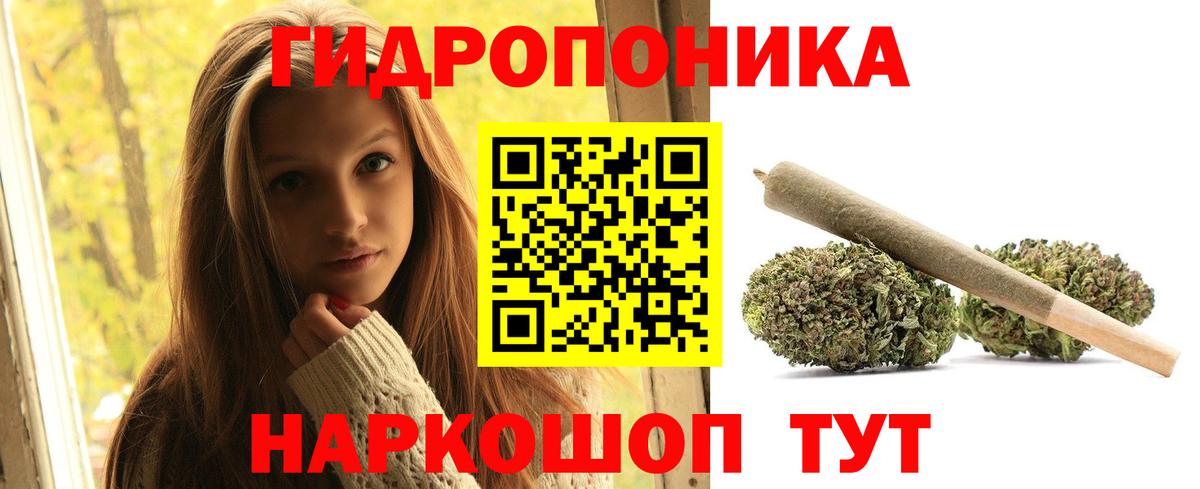 Конопля семена Каменск-Шахтинский